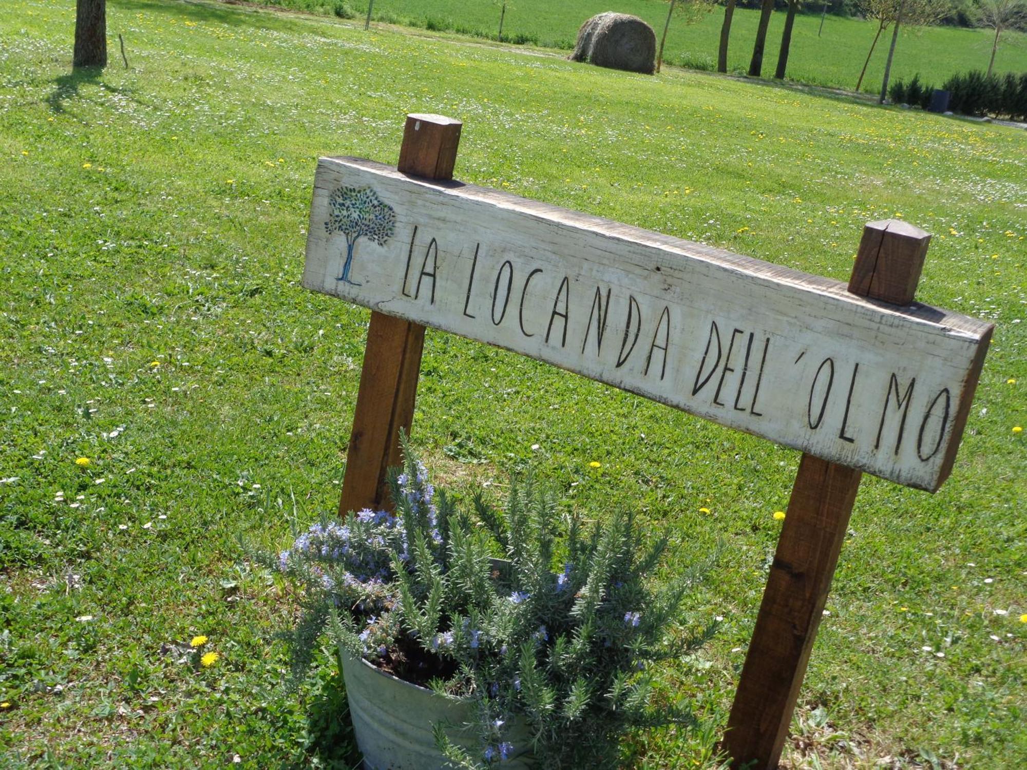 La Locanda Dell'Olmo أورفييتو المظهر الخارجي الصورة